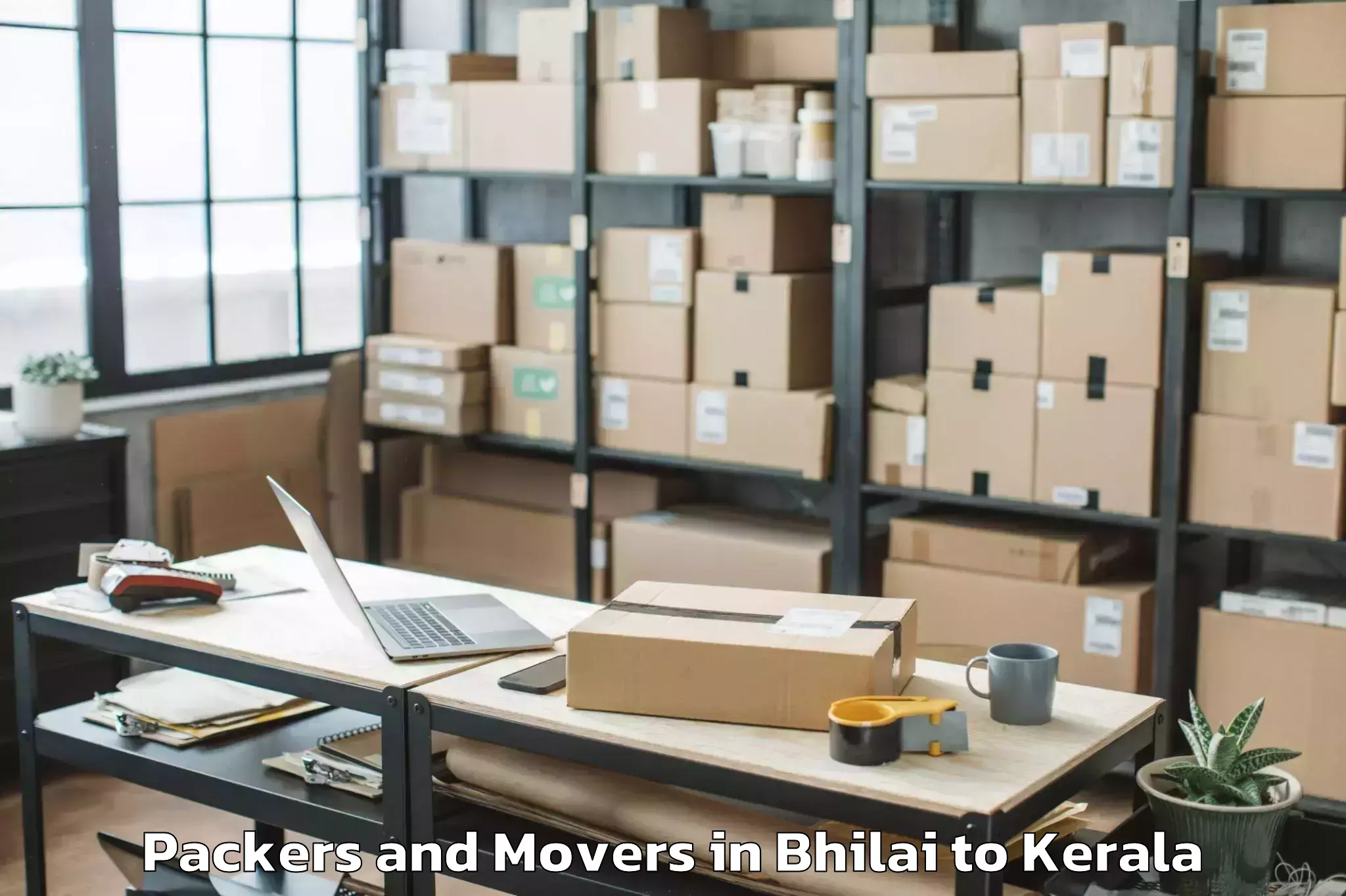 Hassle-Free Bhilai to Trivandrum Packers And Movers